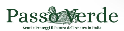 PASSO VERDE